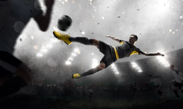 星空体育官方APP 使用指南插图