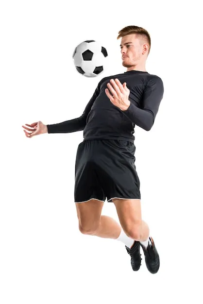 应用展示 - 星空体育官方APP